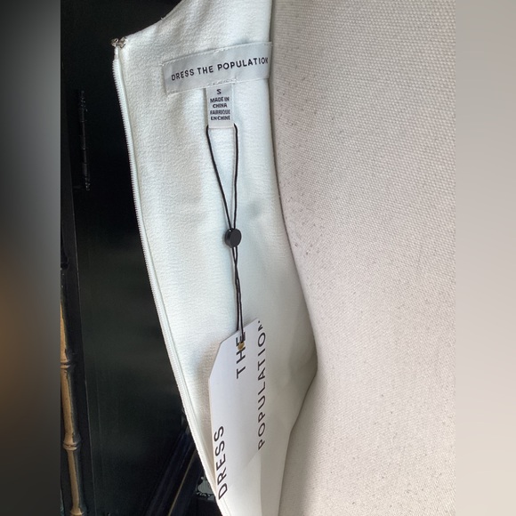 Dress The Population Iris Gown. B20 - Picture 10 of 15